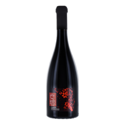 Bouteilles Chenonceaux 2021 Rouge Loire