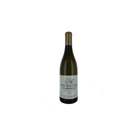 Bourgogne Chardonnay 2022 Blanc julien marchand