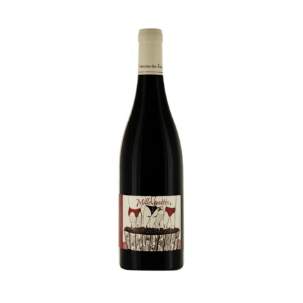 vin Domaine des Berioles Mille Pattes 2022 Rouge bouteille