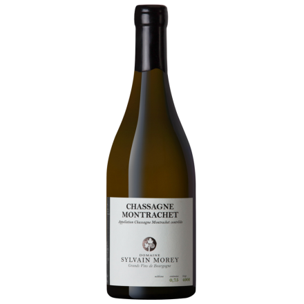 Sylvain Morey Chassagne Montrachet Blanc 2022