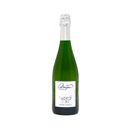 bouteille Plageoles Mauzac Nature 2021 vin