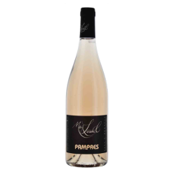 vin Les Pampres 2024 Rosé bouteille