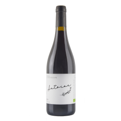 vin Antoine 2022 Rouge bouteille