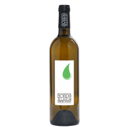 Bordaxuria Irouléguy 2023 blanc bouteille