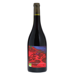 vin Andiran Vain Magnus 0202 Rouge bouteille
