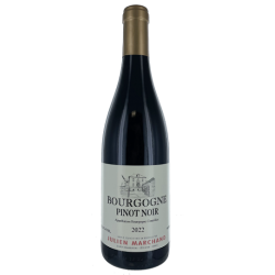 Bouteilles Bourgogne Pinot Noir 2022 Rouge Bourgogne