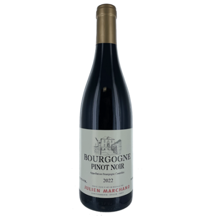 Bouteilles Bourgogne Pinot Noir 2022 Rouge Bourgogne
