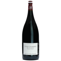 Burguet Gevrey Mes Favorites 2022 Rouge Magnum vin bouteille