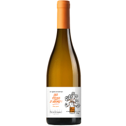 Bouteilles Les Copains d'Accord mais les Filles d'Abord blanc fruité Vin de France