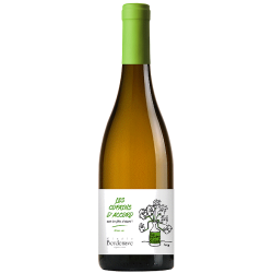 Bouteilles Les Copains d'accord mais les filles d'abord blanc Vin de France