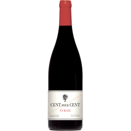 Bouteilles Cent pour Cent Syrah 2024 Rouge Languedoc Roussillon