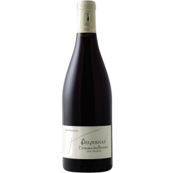 Berioles Saint-Pourçain Auvernat 2024 Rouge bouteille vin