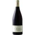 Berioles Saint-Pourçain Auvernat 2024 Rouge bouteille vin