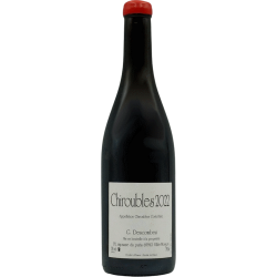 Vin rouge Descombes Chiroubles Vieilles Vignes 2022 Rouge bouteille