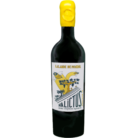 Halictus 2022 Rouge Bouteille Vin