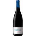 Bouteilles Arcane 2020 Rouge Magnum Sud Ouest