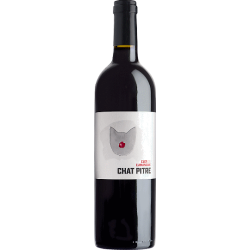Chat Pitre Rouge 2023