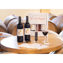 Bouteilles Coffret de l'Œnologue 2019 Bordeaux
