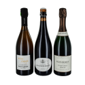 3 champagnes blancs de blancs