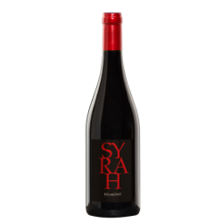 Bouteilles Syrah 2020 Rouge Sud Ouest