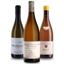 Coffret Blancs de Vignerons bouteilles vin
