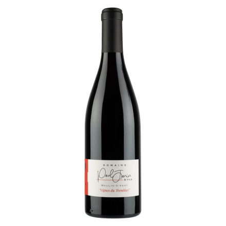 bouteille vin Vignes du Tremblay 2023 Rouge magnum