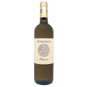 Arretxea Irouleguy Hegoxuri 2023 Blanc Bouteille vin