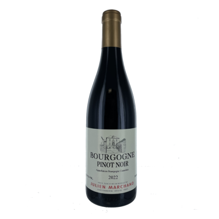 Bouteilles Bourgogne Pinot Noir 2022 Rouge Bourgogne