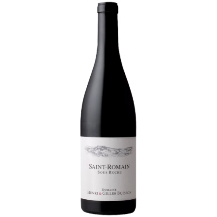 Buisson Gilles Sous Roche Rouge 2021 Bouteille Vin