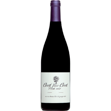 Bouteille Cent Pour Cent Pinot 2024 Rouge Magnum Vin