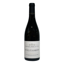 Bouteille Amiot et Fils Gevrey-Chambertin 2022 Rouge vin