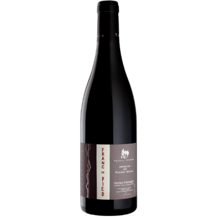 Roches Neuves Franc de Pied 2022 Rouge Bouteille Vin