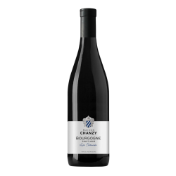 Bouteilles Bourgogne Les Fortunés 2022 Rouge Bourgogne