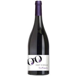Bouteille Les Cluques Rouge Vin de France