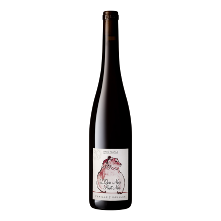 L'Ours Noir Pinot Noir 2024 Rouge bouteille vin
