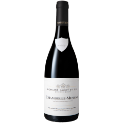 Amiot et Fils Morey Chambolle Musigny Rouge 2023 Bouteille Vin