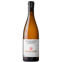 Sylvain Morey Bourgogne Aligoté 2024 Blanc Bouteille Vin