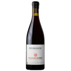 Sylvain Morey Bourgogne Rouge 2024  Bouteille Vin
