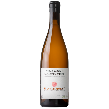 Sylvain Morey Chassagne Montrachet Blanc 2024 Bouteille Vin