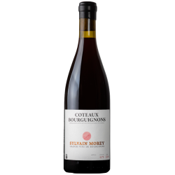 Sylvain Morey Côteaux Bourgignons 2024 Rouge Bouteille vin