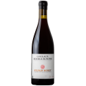 Sylvain Morey Côteaux Bourgignons 2024 Rouge Bouteille vin