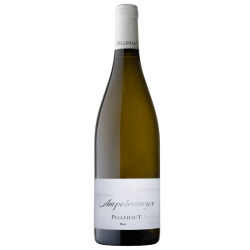Bouteilles Ampelomeryx blanc 2023 Vin de France