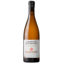 Sylvain Morey Chassagne Montrachet 1er Cru Blanc Champs Gains 2024