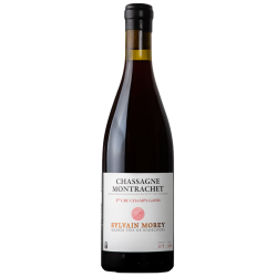Sylvain Morey Chassagne Montrachet 1er Cru Rouge Champs Gains 2024 Bouteille Vin