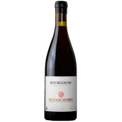 Sylvain Morey Bourgogne Rouge 2024  Bouteille Vin