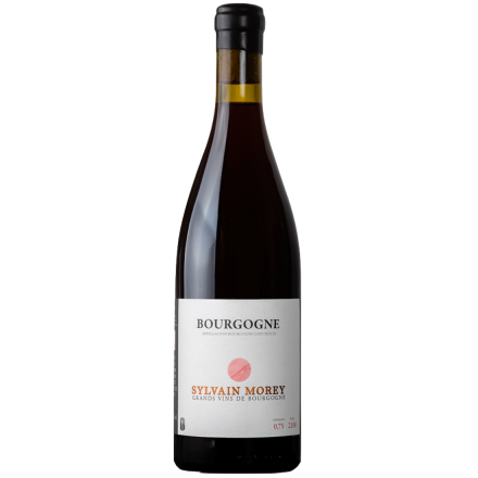 Sylvain Morey Bourgogne Rouge 2024  Bouteille Vin