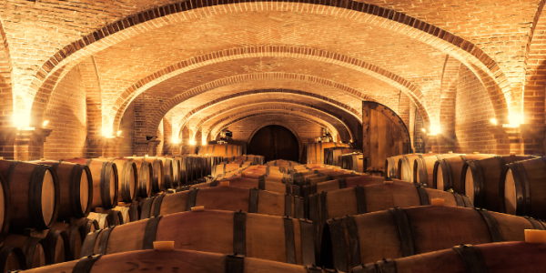 L'élevage en barriques : secrets du vieillissement du vin