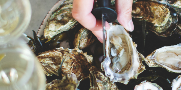 Quels vins choisir avec les huîtres ? Accords parfaits !