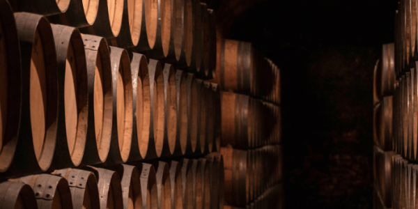 Terroir & cépages de l’Armagnac