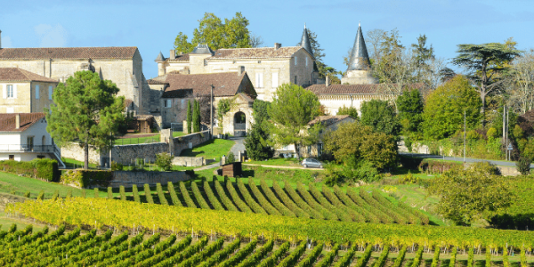 Les grandes régions viticoles françaises : cépages et vins à découvrir